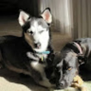 Meet your Posher, Andy